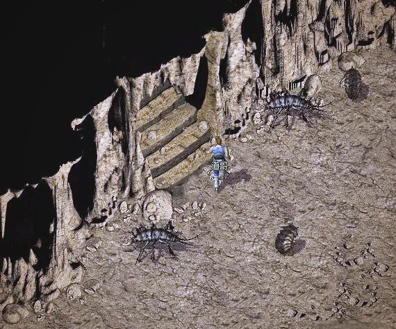 539d6666541f212b35976190d99b88d9.png 复古传奇的地下宝藏—蜈蚣洞